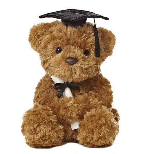 Custom Plush Graduated Teddy Bear Toy